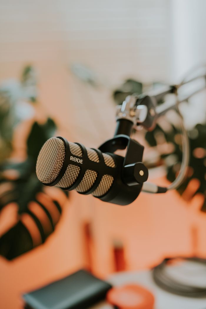 Close-up of a Rode microphone on a stand, set against a backdrop of green indoor plants, ideal for tech and audio themes.